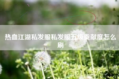 热血江湖私发服私发服五级贡献度怎么刷