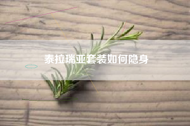 泰拉瑞亚套装如何隐身