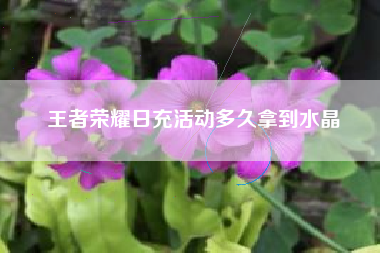王者荣耀日充活动多久拿到水晶