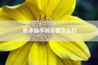 新诛仙手游玄雷怎么打