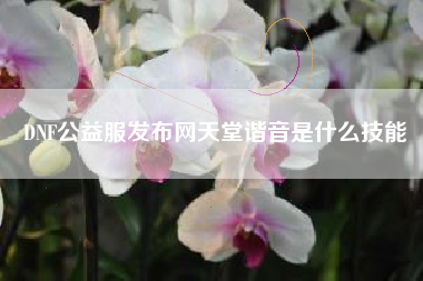 DNF公益服发布网天堂谐音是什么技能
