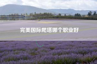 完美国际爬塔哪个职业好