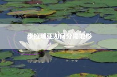 泰拉瑞亚如何分隔地形