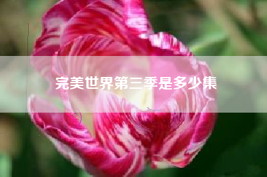 完美世界第三季是多少集