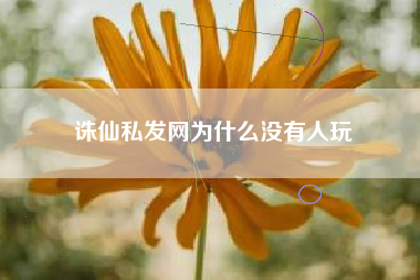 诛仙私发网为什么没有人玩