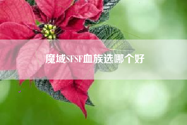 魔域SFSF血族选哪个好