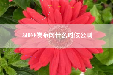 3dDNF发布网什么时候公测