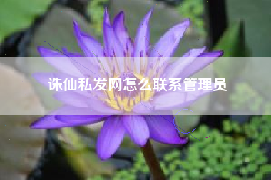 诛仙私发网怎么联系管理员