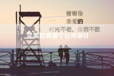 完美世界哪个公司审计