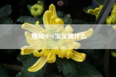 魔域SFSF宝宝属什么