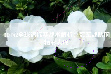 DOTA2全球锦标赛战术解析：冠军战队的精彩表现