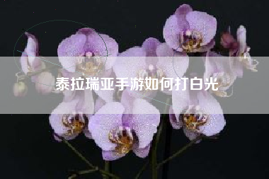 泰拉瑞亚手游如何打白光