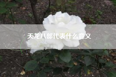 天龙八部代表什么意义