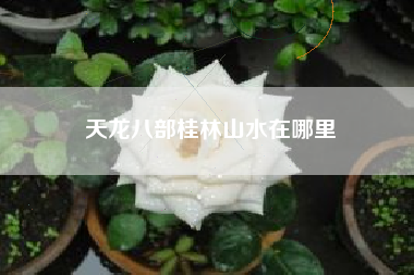 天龙八部桂林山水在哪里