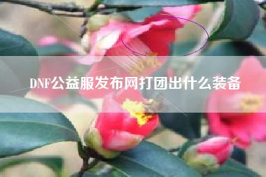 DNF公益服发布网打团出什么装备