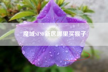 魔域SFSF新区哪里买猴子