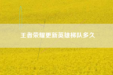 王者荣耀更新英雄梯队多久