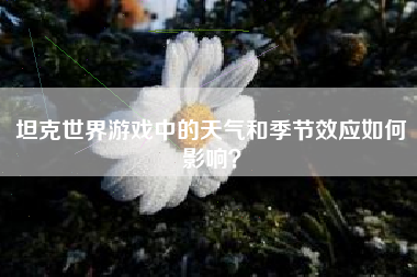 坦克世界游戏中的天气和季节效应如何影响？