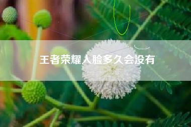 王者荣耀人脸多久会没有