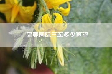 完美国际三军多少声望