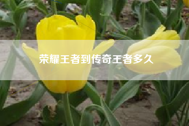 荣耀王者到传奇王者多久