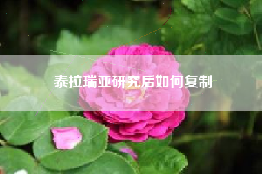 泰拉瑞亚研究后如何复制