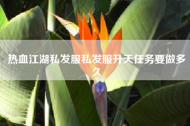 热血江湖私发服私发服升天任务要做多久