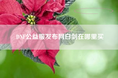 DNF公益服发布网白剑在哪里买