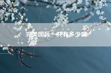 完美国际一共有多少端