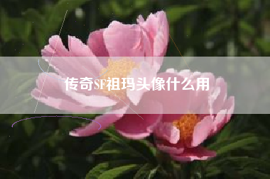 传奇SF祖玛头像什么用