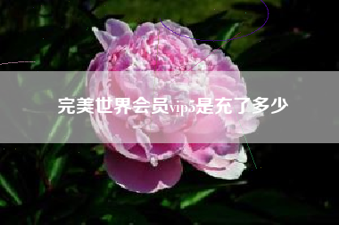 完美世界会员vip5是充了多少