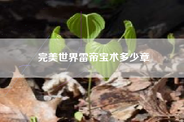完美世界雷帝宝术多少章
