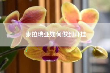 泰拉瑞亚如何做到开挂
