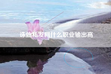 诛仙私发网什么职业输出高