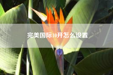 完美国际10开怎么设置
