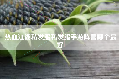 热血江湖私发服私发服手游阵营哪个最好