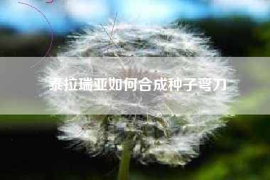 泰拉瑞亚如何合成种子弯刀