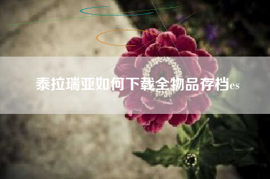 泰拉瑞亚如何下载全物品存档es