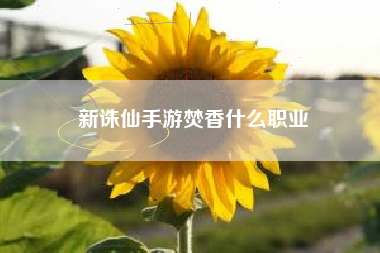新诛仙手游焚香什么职业