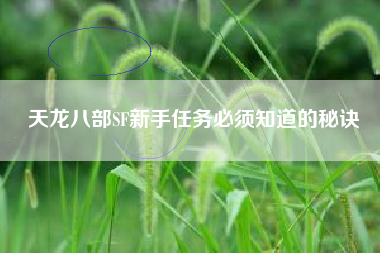 天龙八部SF新手任务必须知道的秘诀