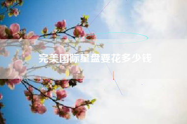 完美国际星盘要花多少钱