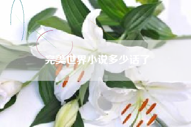 完美世界小说多少话了