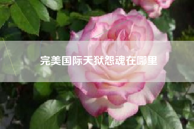 完美国际天狱怨魂在哪里