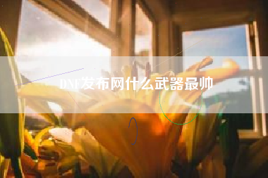 DNF发布网什么武器最帅