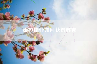 泰拉瑞亚如何获得苏克