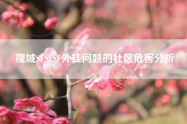 魔域SFSFSF外挂问题的社区危害分析