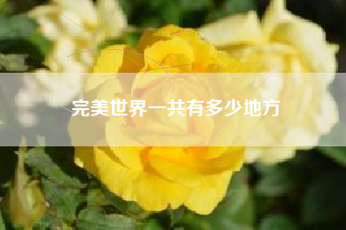 完美世界一共有多少地方