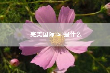 完美国际2369是什么