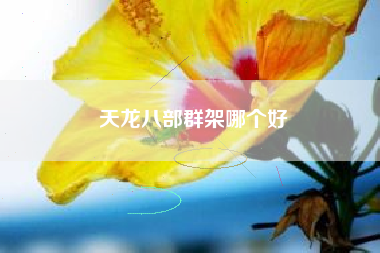 天龙八部群架哪个好