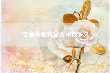 王者荣耀找客服审核多久